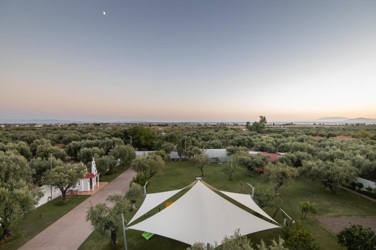 Apartment κτήμα ζιάκος *