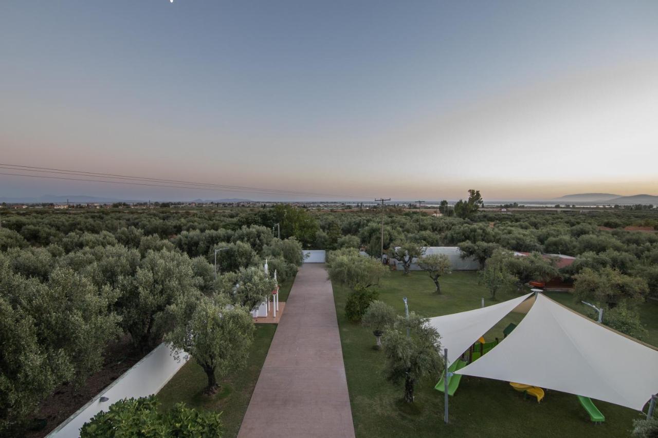 κτήμα ζιάκος Apartment *